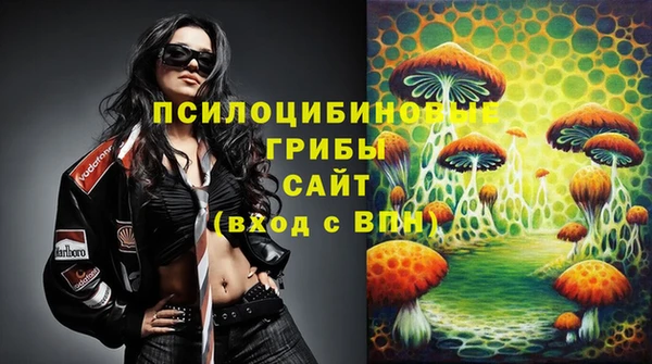 ГАЛЛЮЦИНОГЕННЫЕ ГРИБЫ Инта
