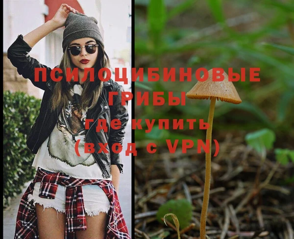 спайс Абаза