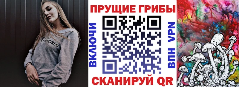 Галлюциногенные грибы Cubensis Устюжна